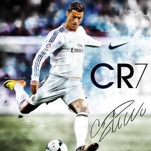 Meet your Posher, Mohammad bilal